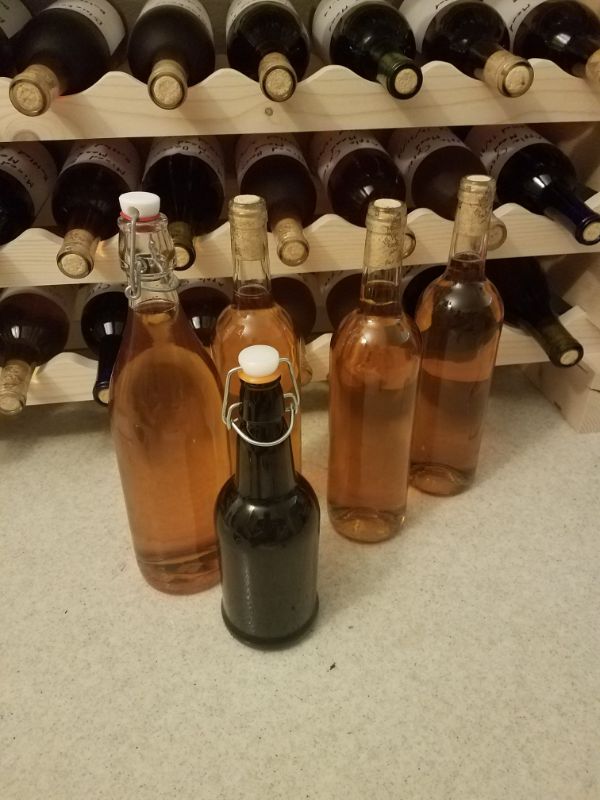 First Bottles of Rooibos-Coffee Mead