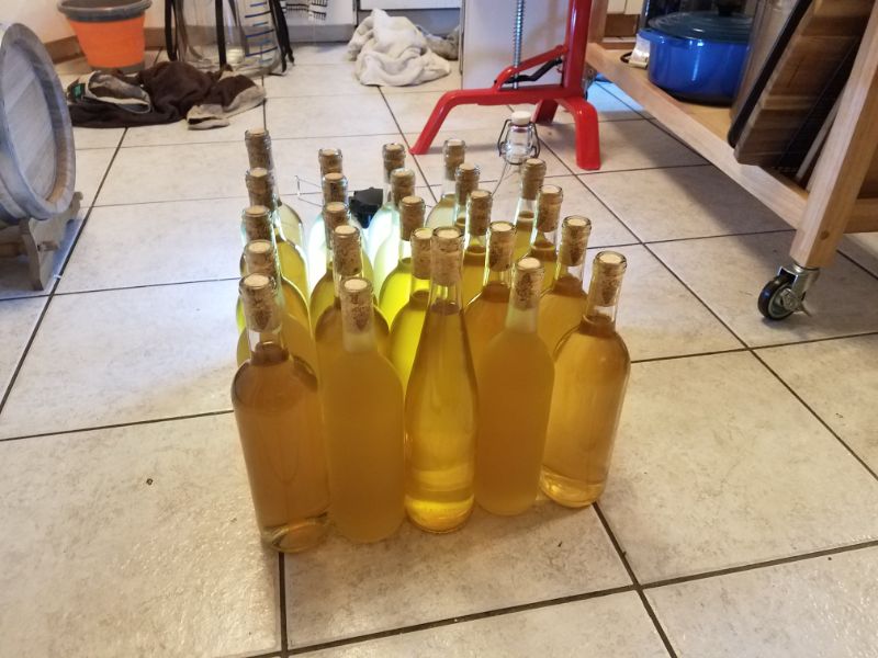 Bottled Mango-Habanero Mead