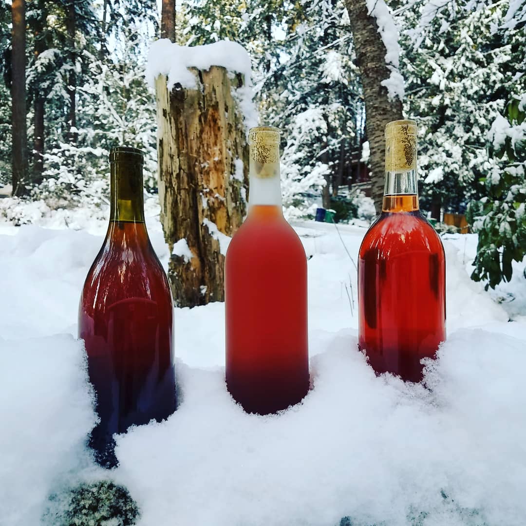 Berry Mead in the Snow